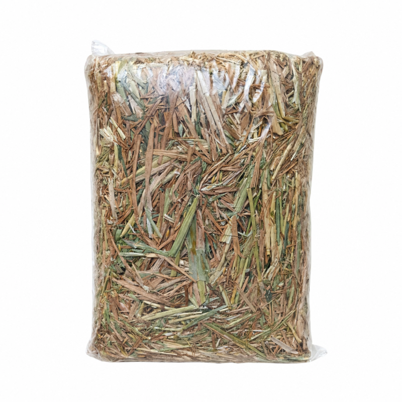 Oat Hay 1.5KG Mini Block